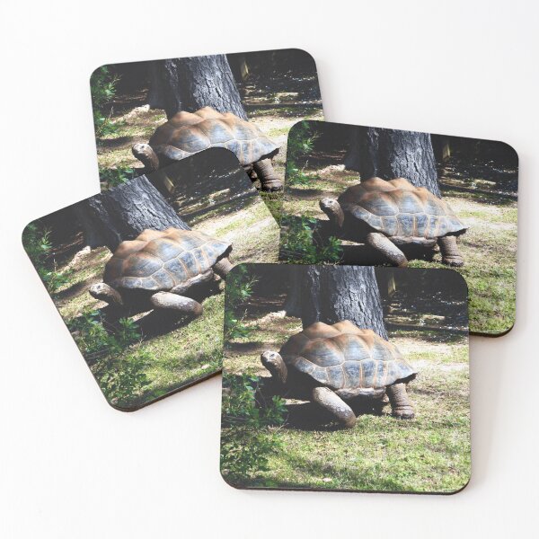 Item preview, Tortoise designed and sold by MtnDew3301.