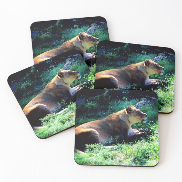 Item preview, Lioness designed and sold by MtnDew3301.