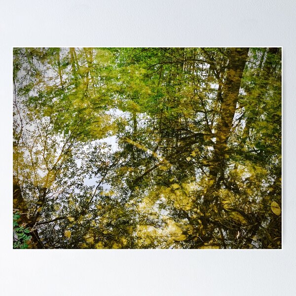 Item preview, Reflecting Nature designed and sold by MtnDew3301.