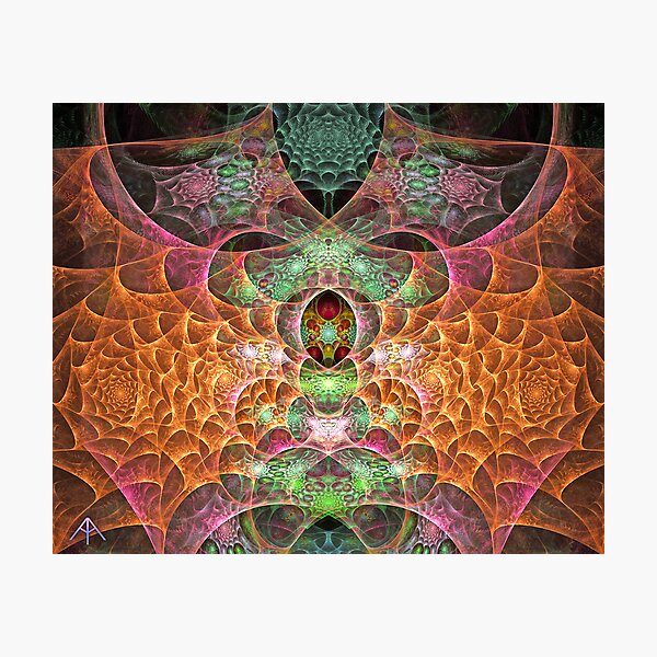 Gossamer Photographic Print
