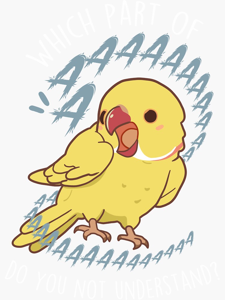 Lutino Indian Ringneck Parrot Aaaa