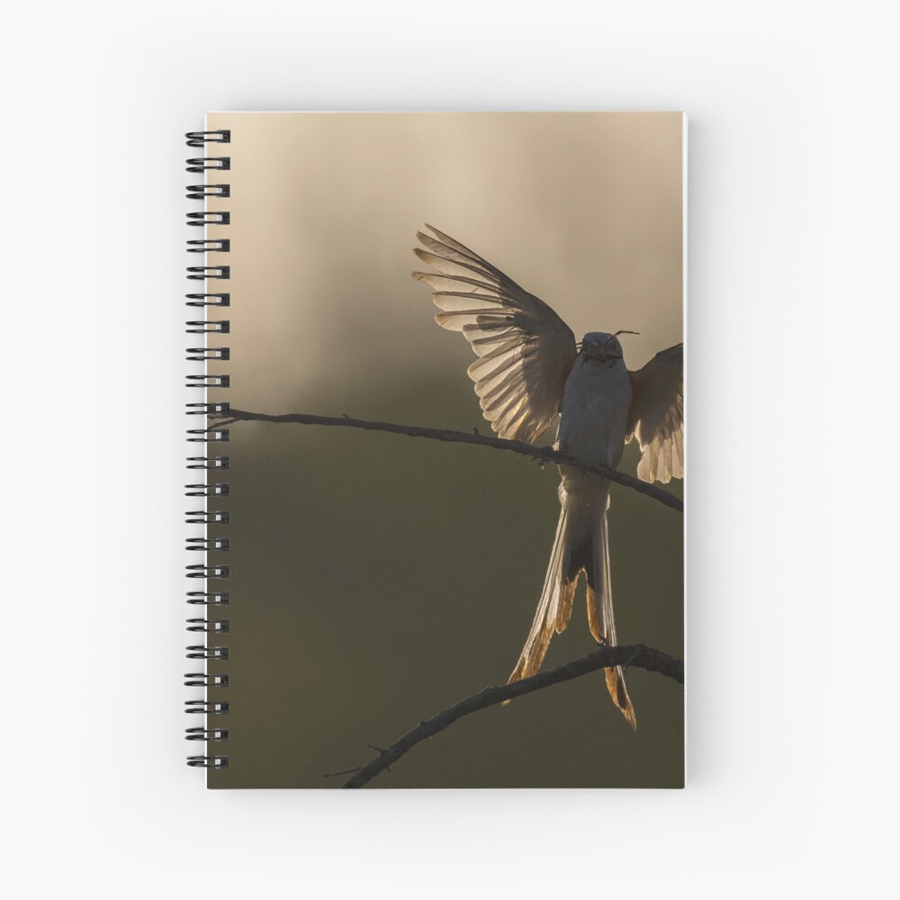 Item preview, Spiral Notebook designed and sold by rshankar8080.