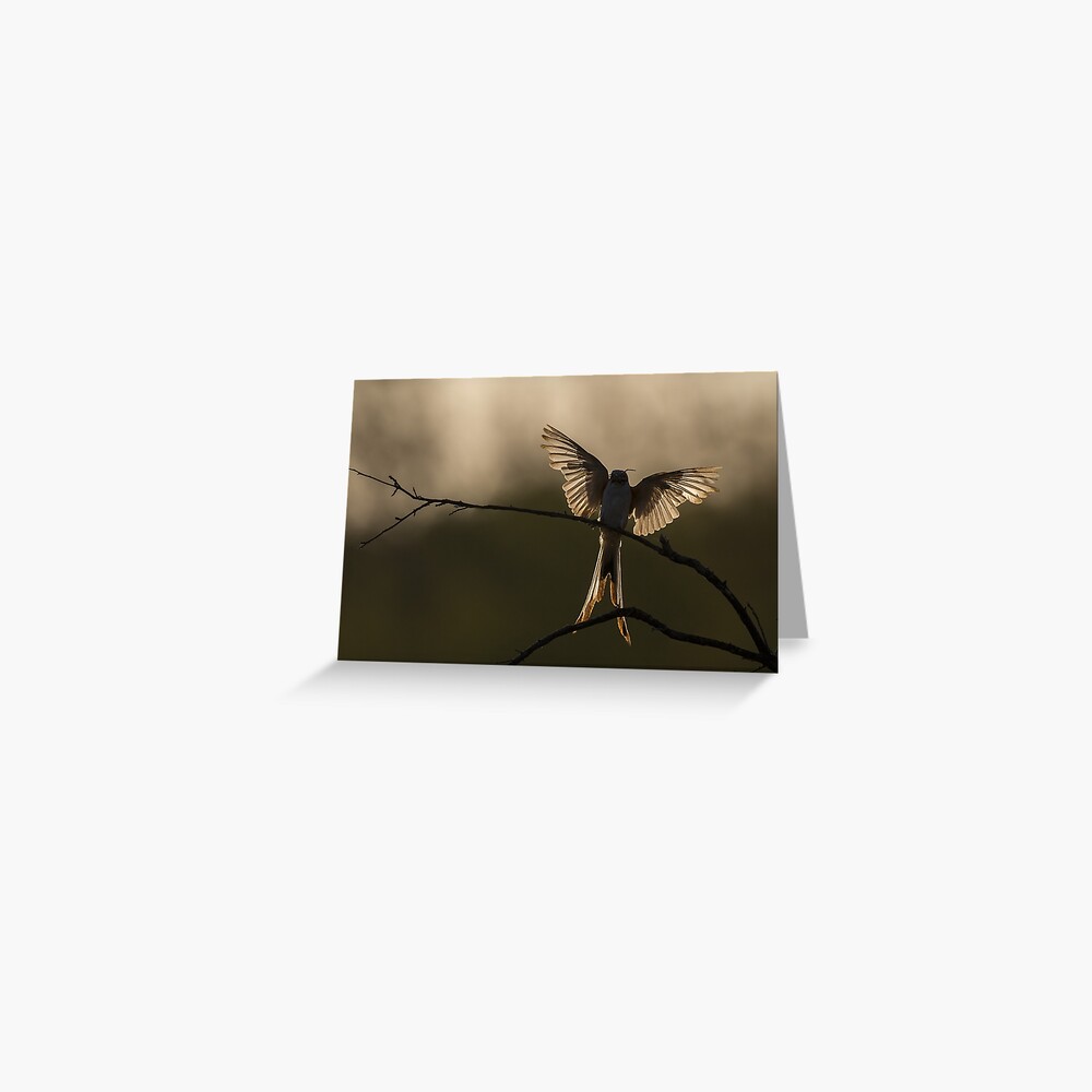 Item preview, Greeting Card designed and sold by rshankar8080.