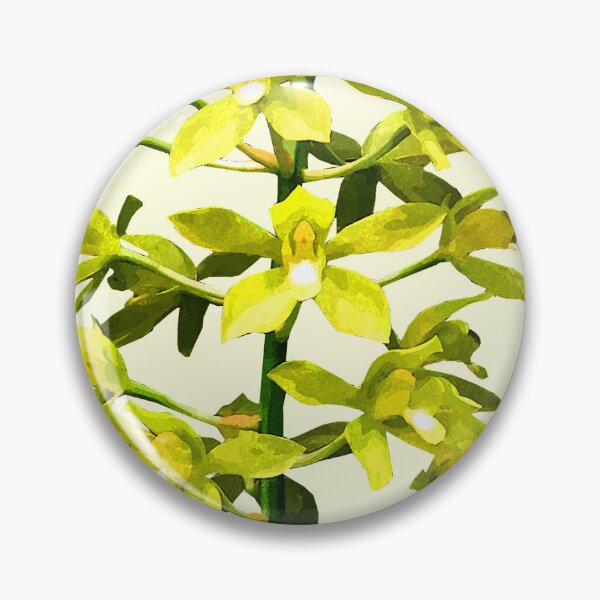 Item preview, Forma Citrinum Orchid designed and sold by Susan Savad.
