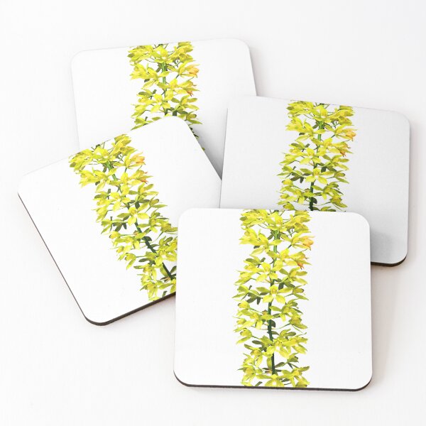 Item preview, Forma Citrinum Orchid designed and sold by Susan Savad.