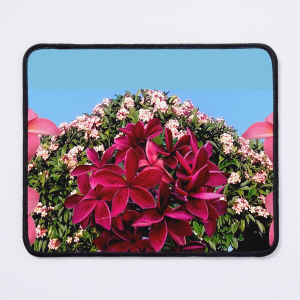 Item preview, Compilation of Frangipani designed and sold by KazM.