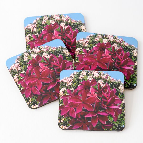 Item preview, Compilation of Frangipani designed and sold by KazM.
