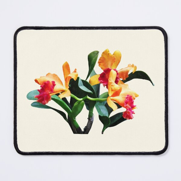 Item preview, Orchids Persian Garden The Shah designed and sold by Susan Savad.