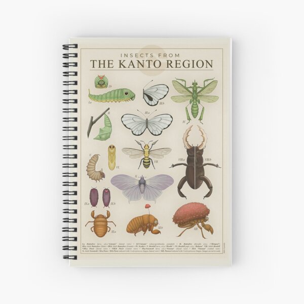 Artikel-Vorschau von Insekten aus der Kanto-Region, designt und verkauft von Julio Lacerda.