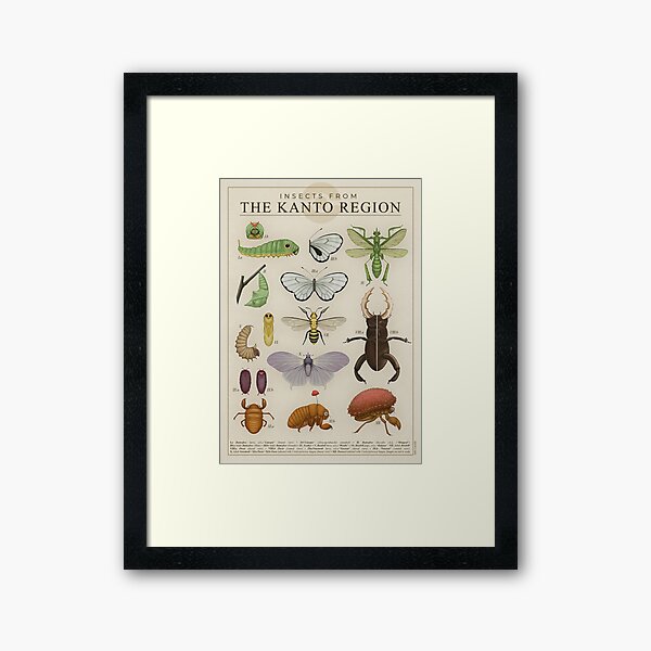 Item preview, Insects from the Kanto Region designed and sold by Julio Lacerda.