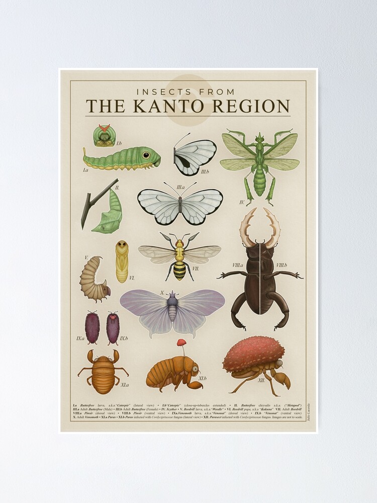 Discover Insectos de La Región de Kanto Póster