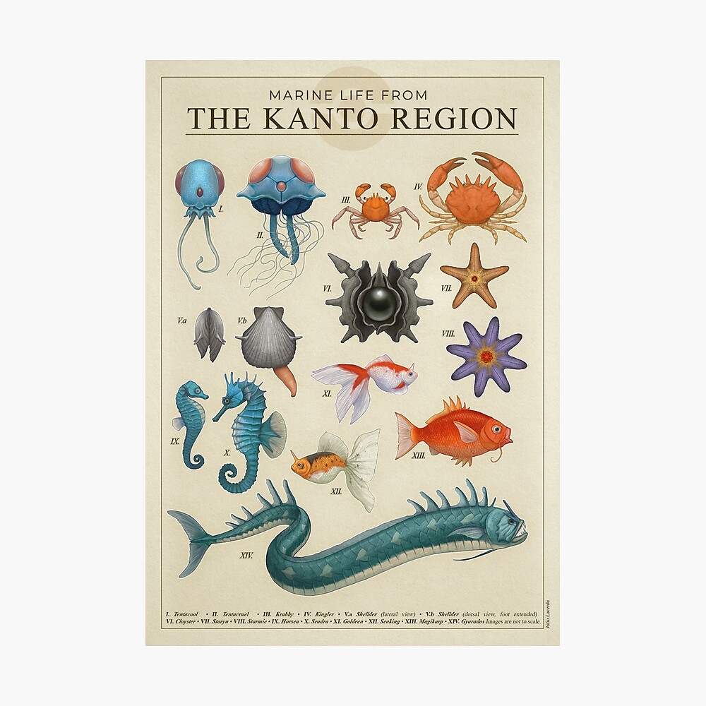 Marine Life from Kanto
