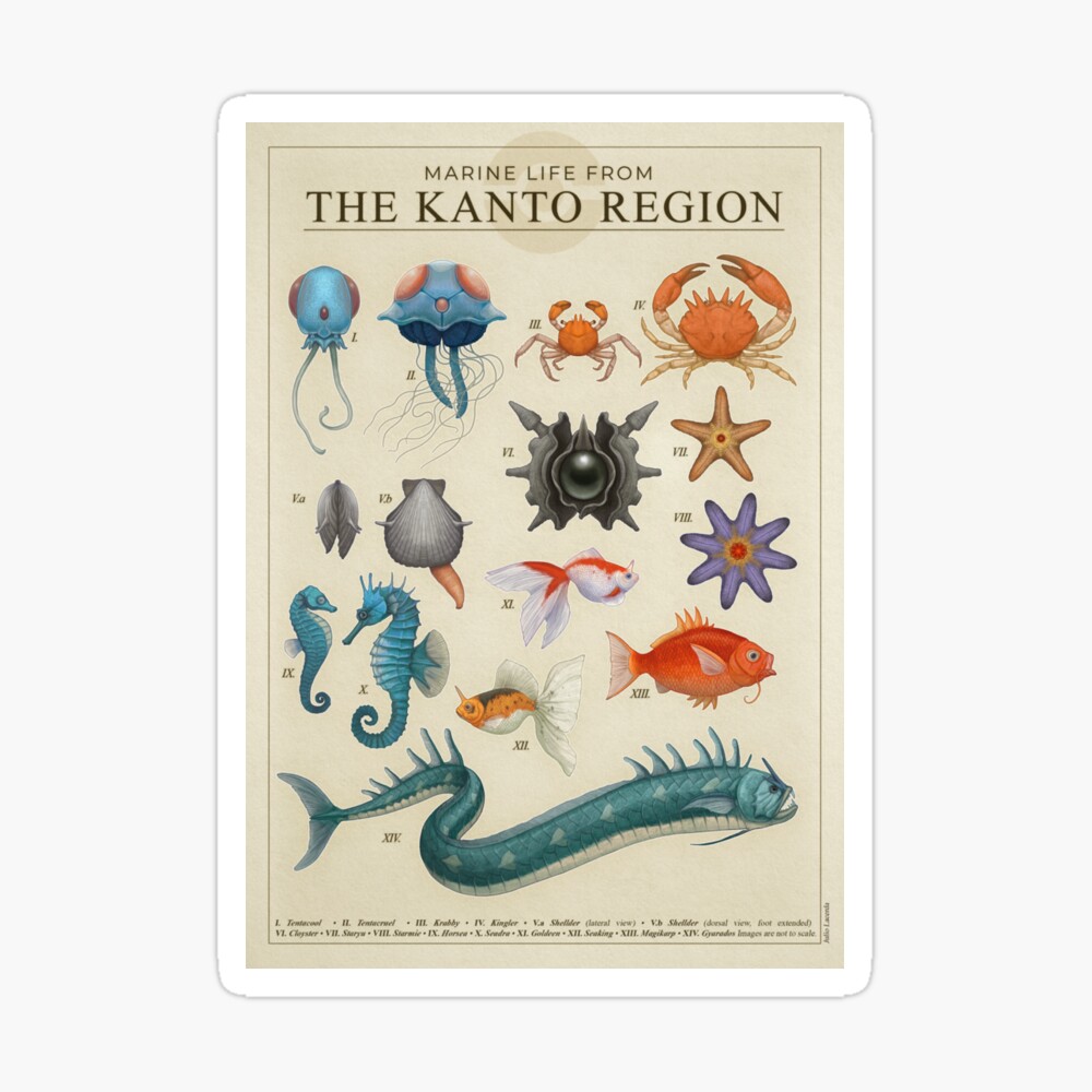Marine Life from Kanto