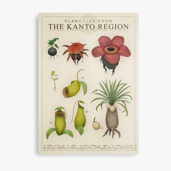 Item preview, Plant life from Kanto designed and sold by Julio Lacerda.