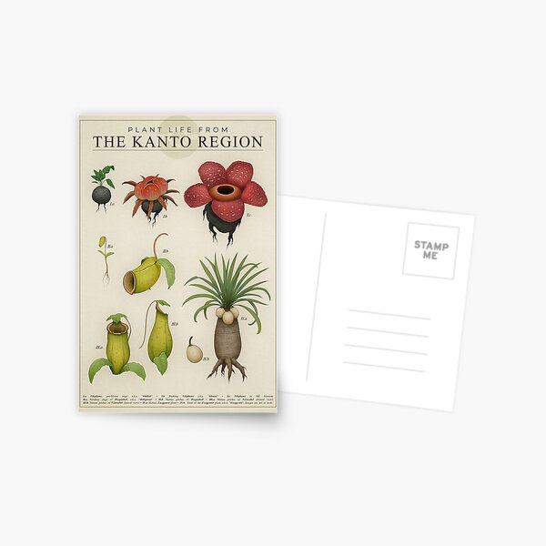 Spider Song Card - Biology Stationery