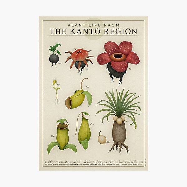 Plant life from Kanto Photographic Print