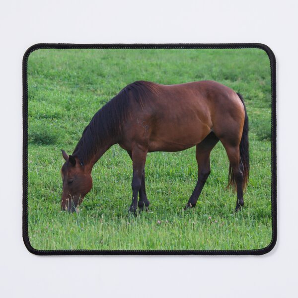 Item preview, Brown Mare in Field designed and sold by Sonya Umble.