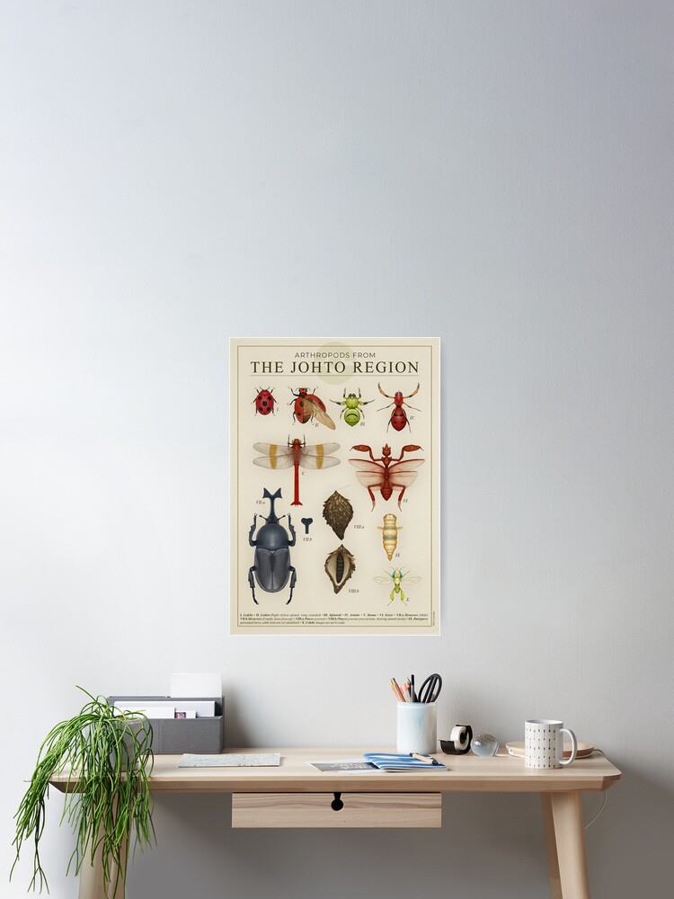 Arthropods from Johto | Classic T-Shirt