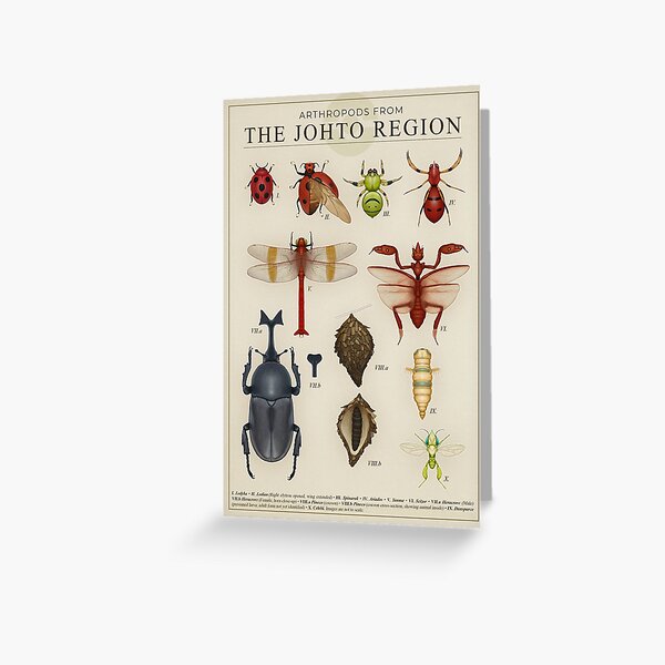 Artikel-Vorschau von Arthropoden von Johto, designt und verkauft von Julio Lacerda.