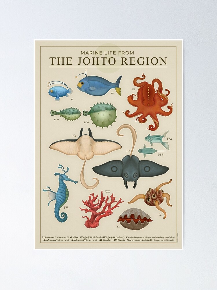 Thumbnail 1 of 3, Poster, Marine Life from Johto designed and sold by julio-lacerda.
