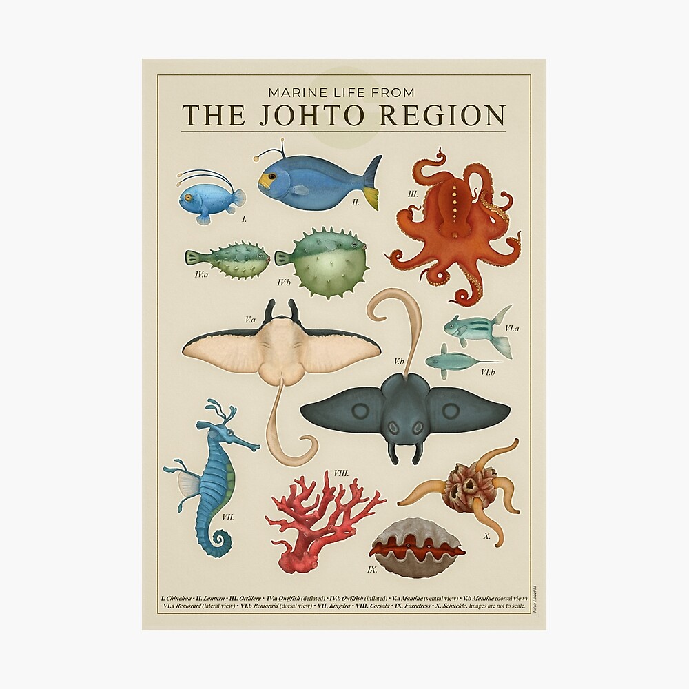 Marine Life from Johto