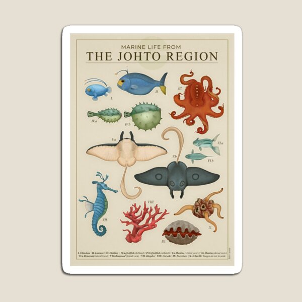 Vista previa del artículo con la obra «Vida marina de Johto», diseñado y vendido por Julio Lacerda.