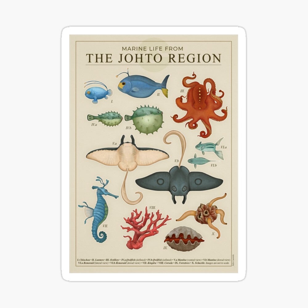 Marine Life from Johto