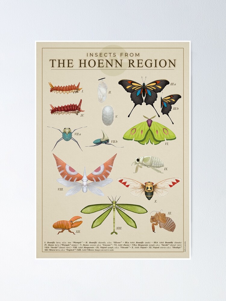 Discover Insectos de Hoenn Póster