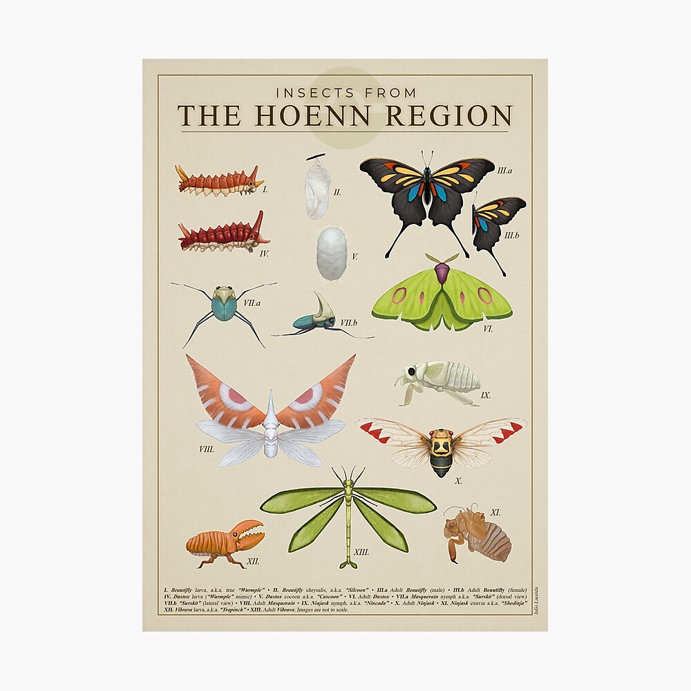Insects from Hoenn Poster
