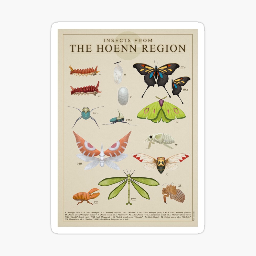 Insects from Hoenn Poster