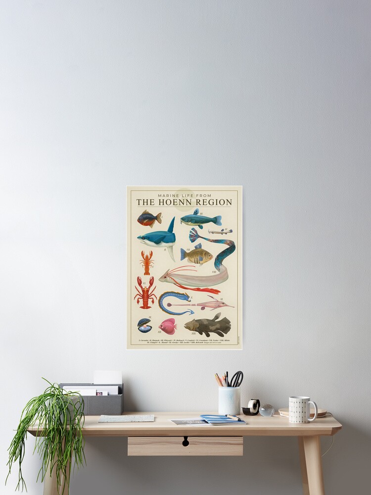 Marine Life from Hoenn Poster