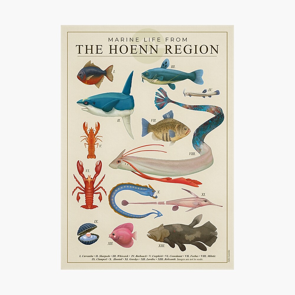Marine Life from Hoenn Poster