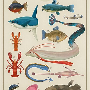 Artwork thumbnail, Marine Life from Hoenn by Julio Lacerda