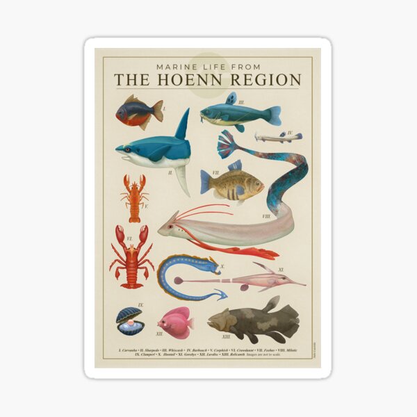 Marine Life from Hoenn Sticker