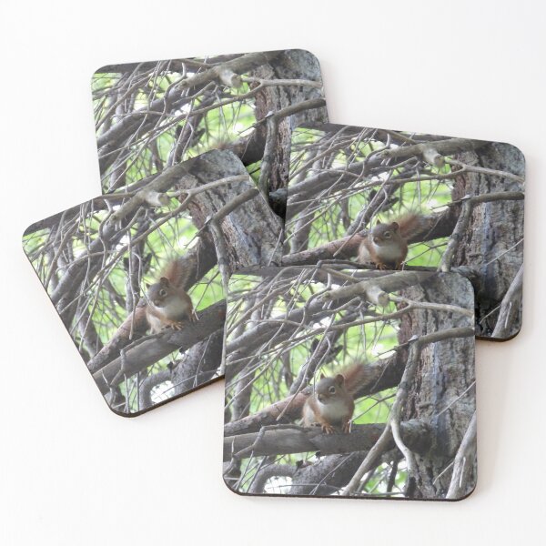 Item preview, Red Squirrel in Corner Brook Newfoundland designed and sold by padthepad.