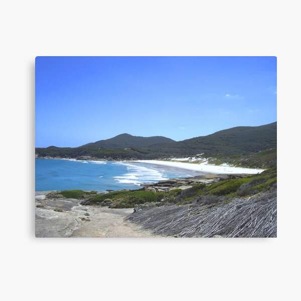 Squeaky Beach Canvas Print