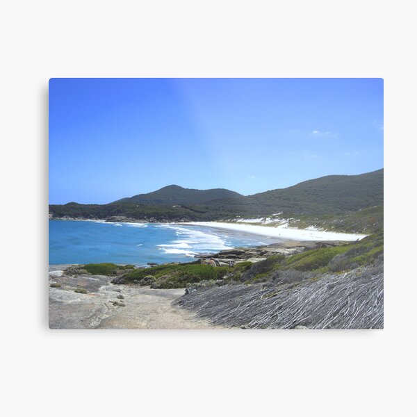 Squeaky Beach Metal Print