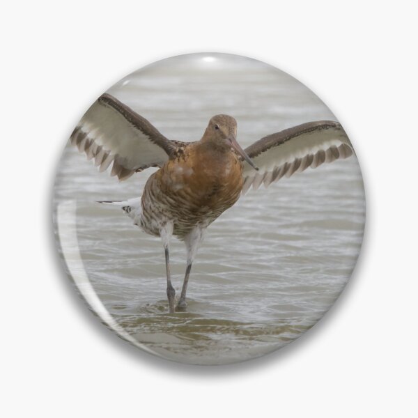 Item preview, Black Tailed Godwit designed and sold by LaurenTucker.
