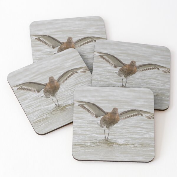 Item preview, Black Tailed Godwit designed and sold by LaurenTucker.