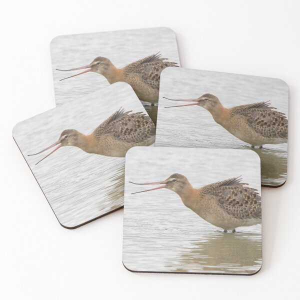 Item preview, Black Tailed Godwit designed and sold by LaurenTucker.