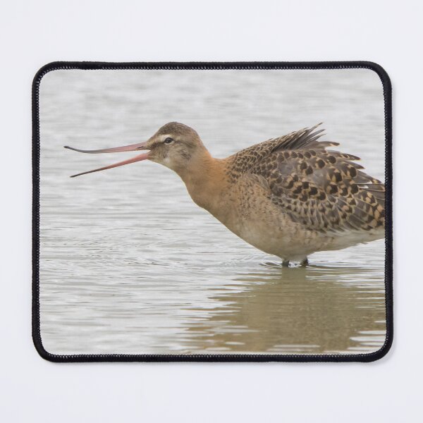 Item preview, Black Tailed Godwit designed and sold by LaurenTucker.