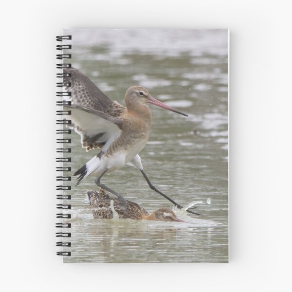 Item preview, Black Tailed Godwit designed and sold by LaurenTucker.