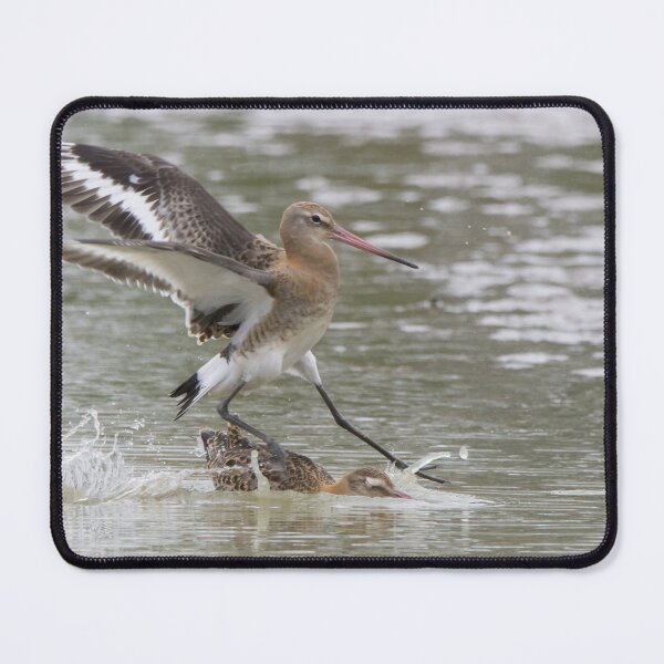 Item preview, Black Tailed Godwit designed and sold by LaurenTucker.
