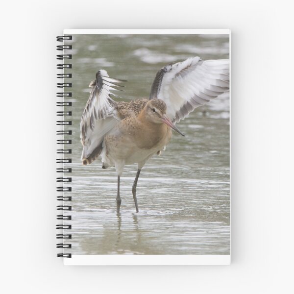 Item preview, Black Tailed Godwit designed and sold by LaurenTucker.