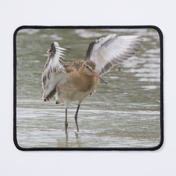 Item preview, Black Tailed Godwit designed and sold by LaurenTucker.