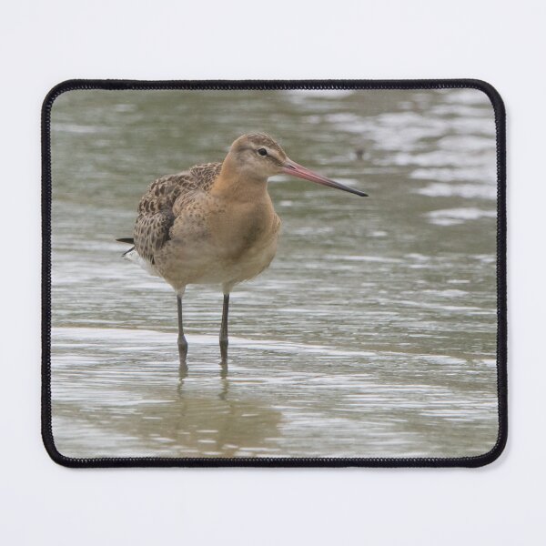 Item preview, Black Tailed Godwit designed and sold by LaurenTucker.