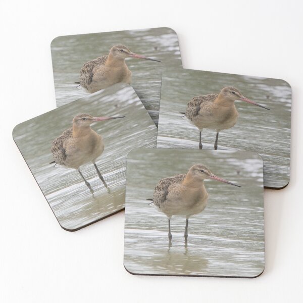 Item preview, Black Tailed Godwit designed and sold by LaurenTucker.