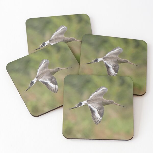 Item preview, Black Tailed Godwit designed and sold by LaurenTucker.