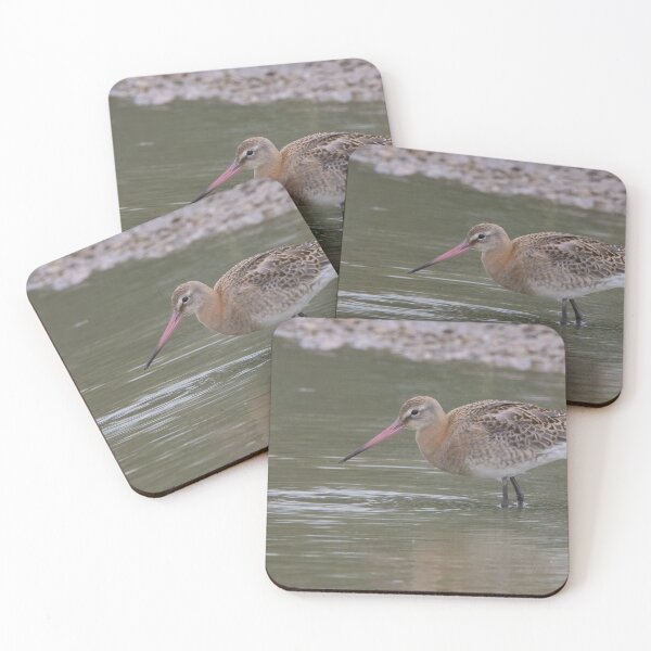 Item preview, Black Tailed Godwit designed and sold by LaurenTucker.