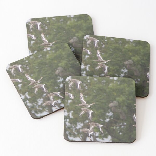 Item preview, Black Tailed Godwit designed and sold by LaurenTucker.